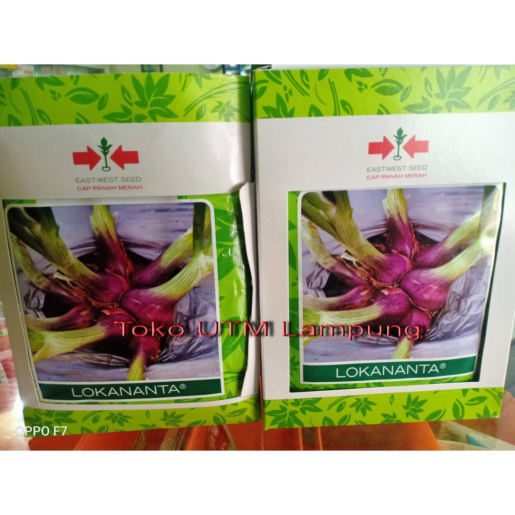 BENIH / BIBIT BAWANG MERAH LOKANANTA 10 GRAM