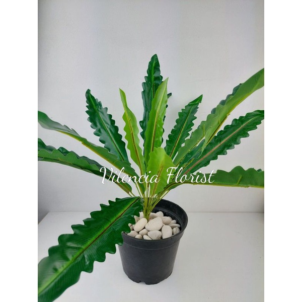 Tanaman daun kadaka gelombang cinta palsu plastik hias artificial dekorasi/daun palsu