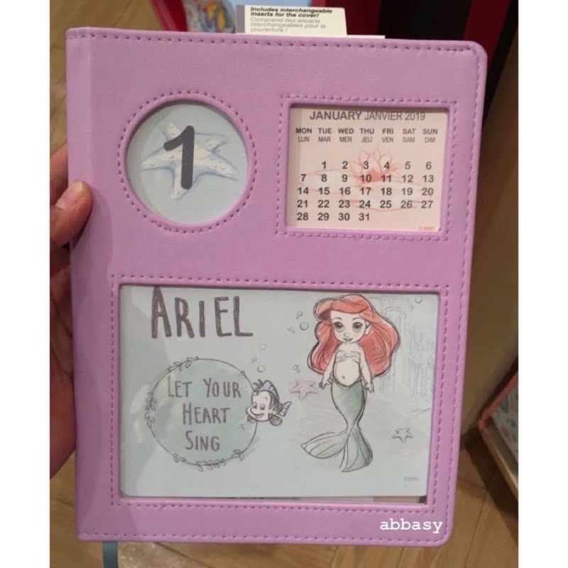 

Notebook Princess animator - planner book disney 2019 - original disneystore - disneyland