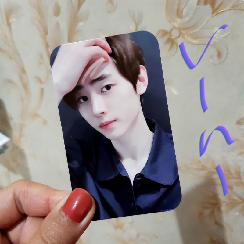 photocard neck pillow enhypen sunghoon