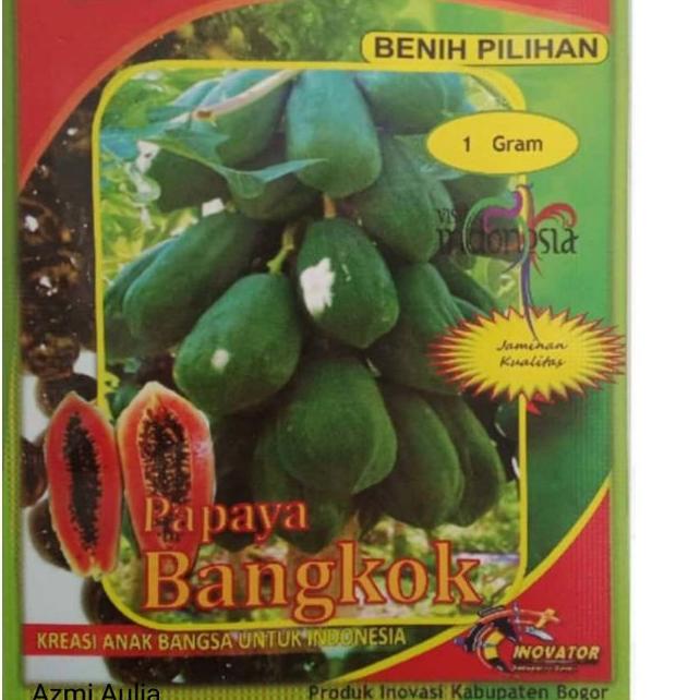 ☼ Benih Pepaya Bangkok Sun Grads 1gram - Bibit Pepaya Thailand - Benih Pepaya - Bibit Pepaya Bangkok