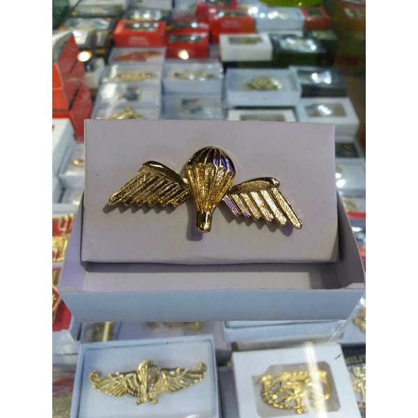 Brevet PARA AUSTRALI | Wings PARA AUSTRALI