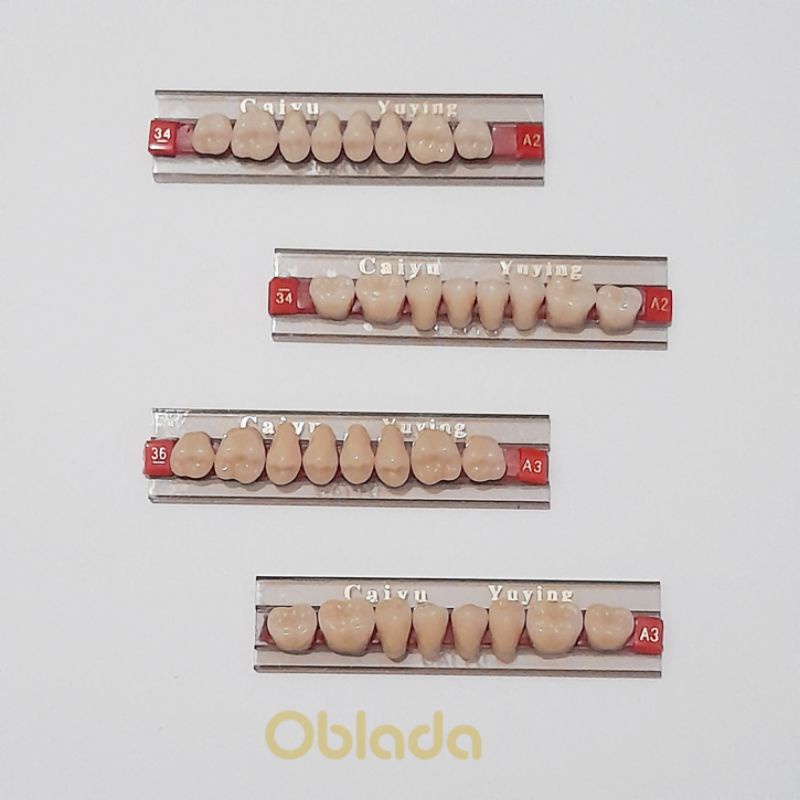 Gigi palsu posterior caiyu yuying / gigi geraham palsu