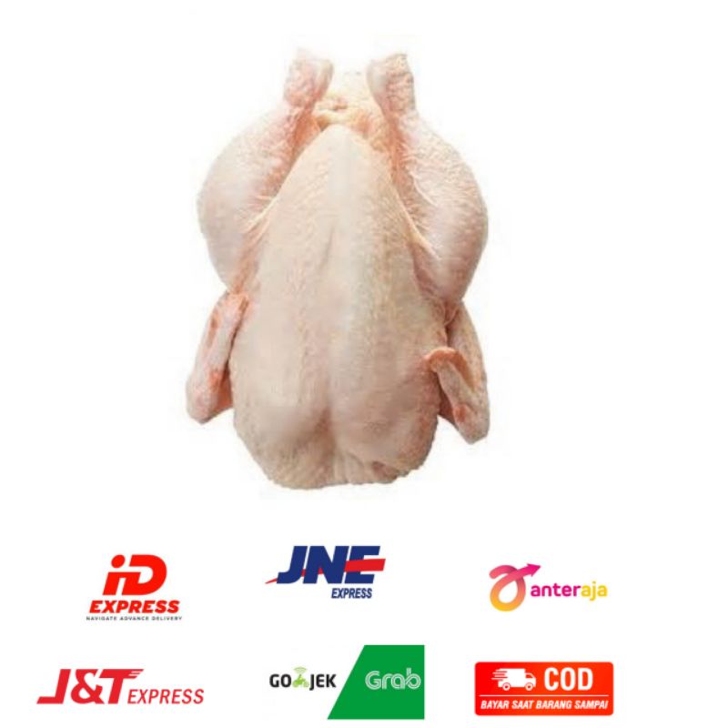 

Daging Ayam Segar 1 Kg Wiranilo Padang