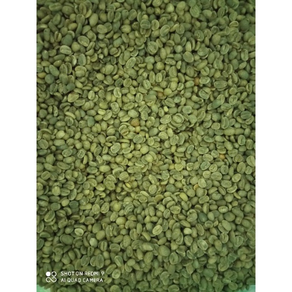 

Ijen Green Bean Arabica Full Washed/Grade 1/Biji Kopi/Kopi/Coffee Green Bean 1Kg