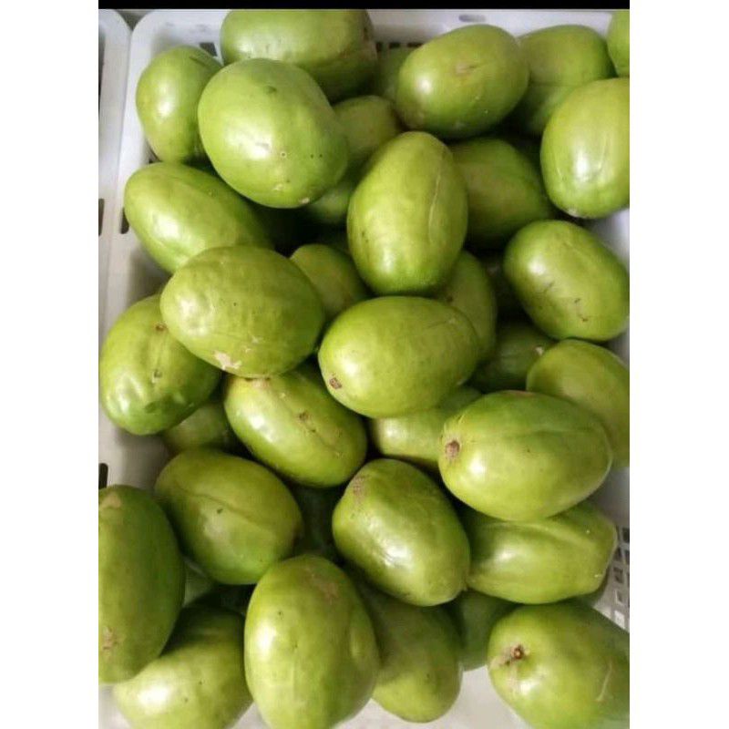 

kedondong