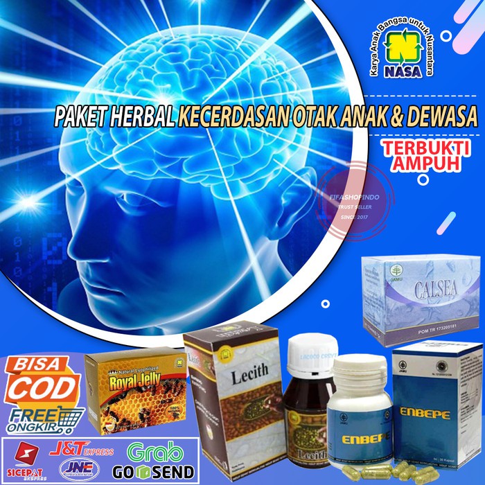VITAMIN KECERDASAN OTAK ANAK - SUPLEMEN KECERDASAN OTAK ANAK & DEWASA