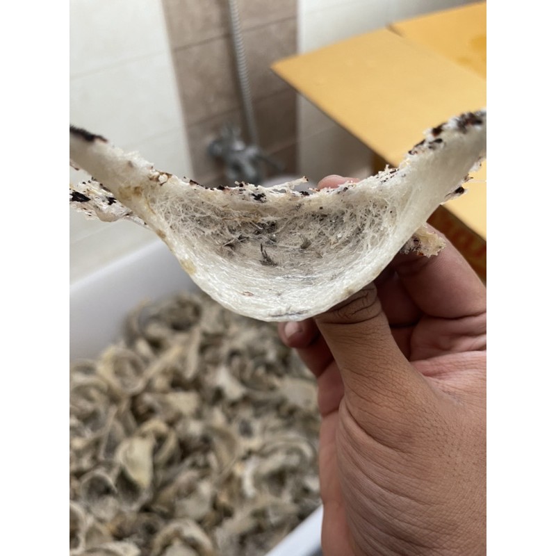 

sarang walet kotor atau belum di bersihkan campuran 100gr