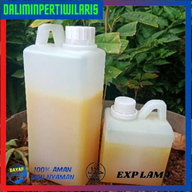 

( BISA COD ) Madu kaliandra kemasan 1kg / madu asli / original FREE ONGKIR [Kode 1|Kode 2|Kode