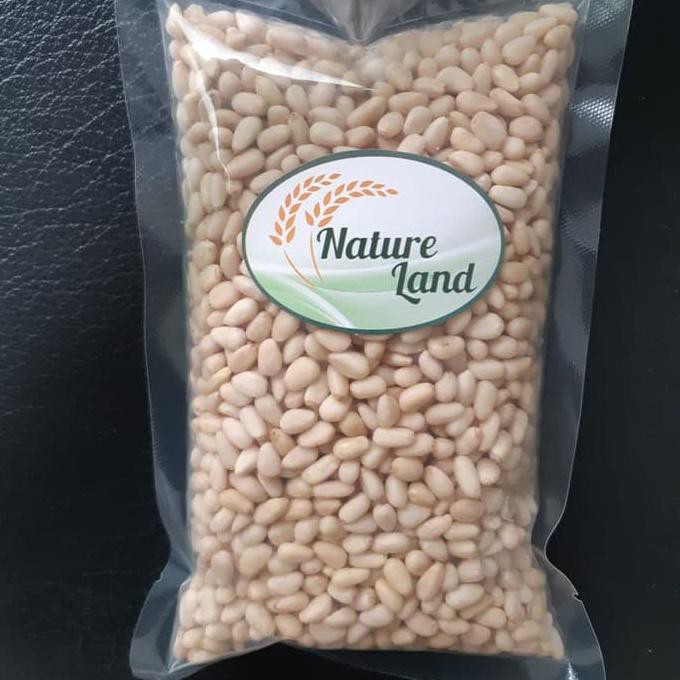 

Pine Nut 100 Gr / Kacang Pinus Pulaurengas.Com2