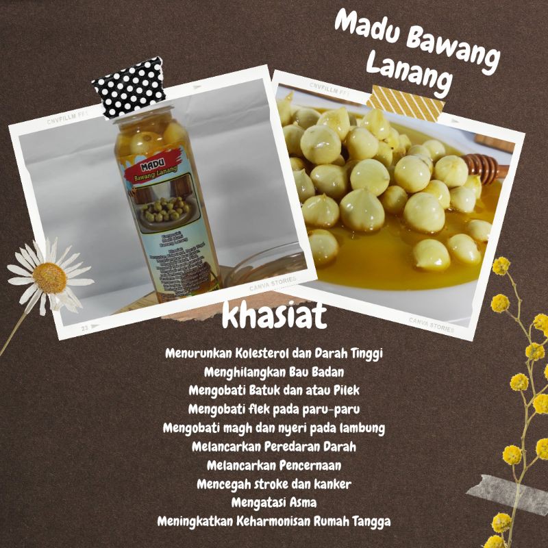 

Madu Bawang Lanang 320gram