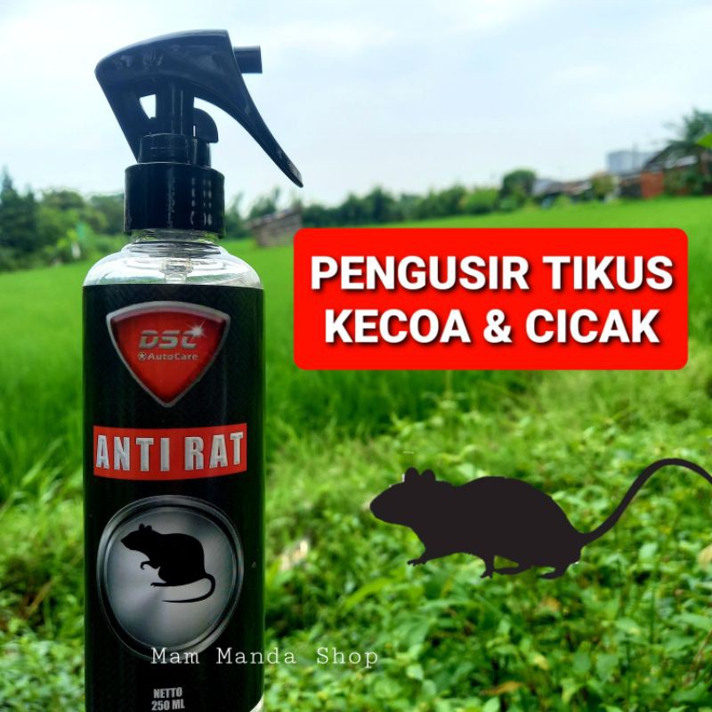 DSC Anti Rat Pengusir Tikus Kecoa Cicak / Pengusir tikus di Kap Mobil, Dapur, Kantor