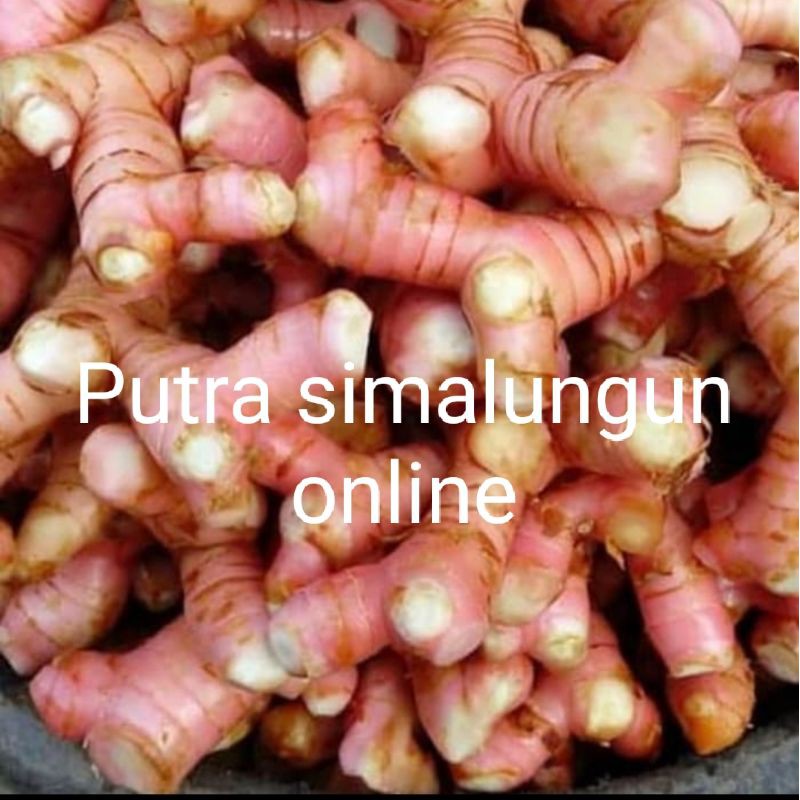 

Lengkuas Segar 500gram