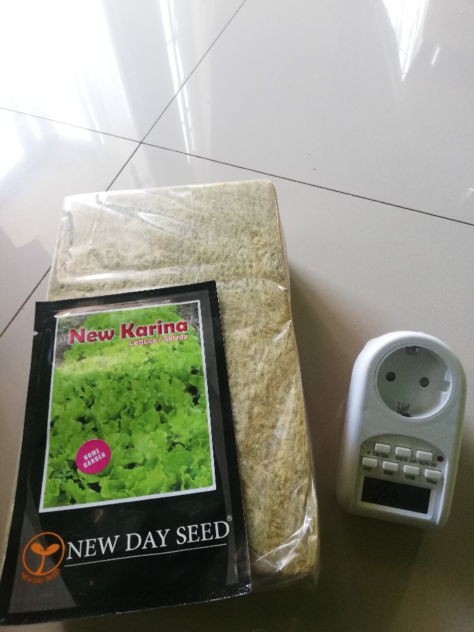 Benih New Day Seed Selada Karina