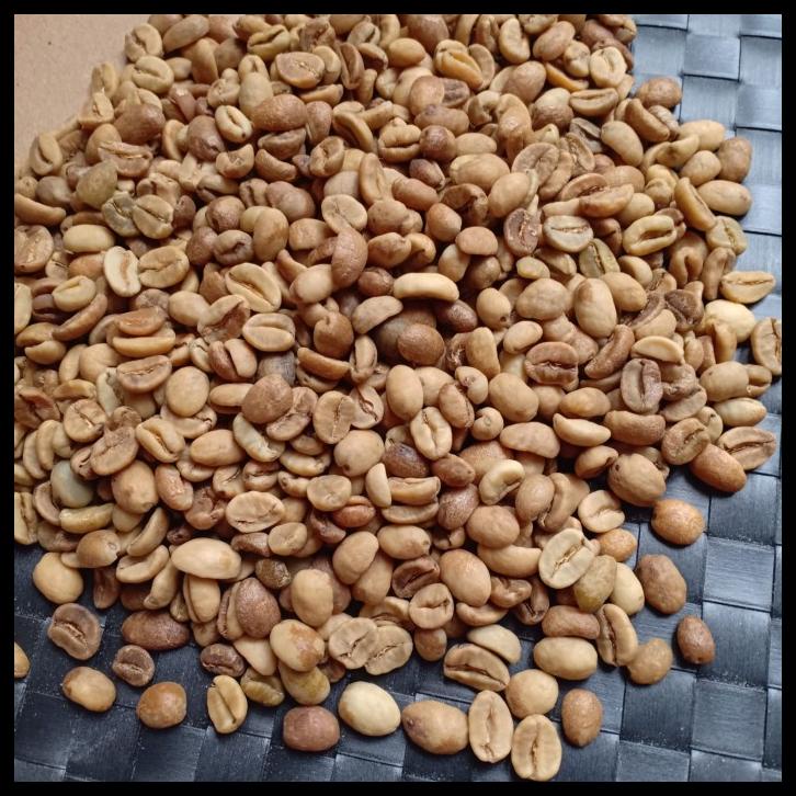 

DISKON TERBATAS !!! GREEN BEAN ARABIKA GAYO WINE GRADE G1 TERLARIS