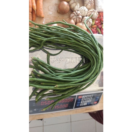 

Kacang Panjang