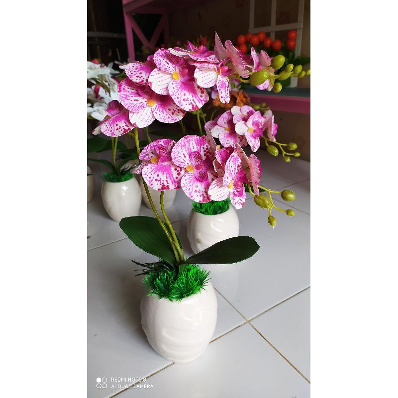 anggrek latex set pot keramik 3