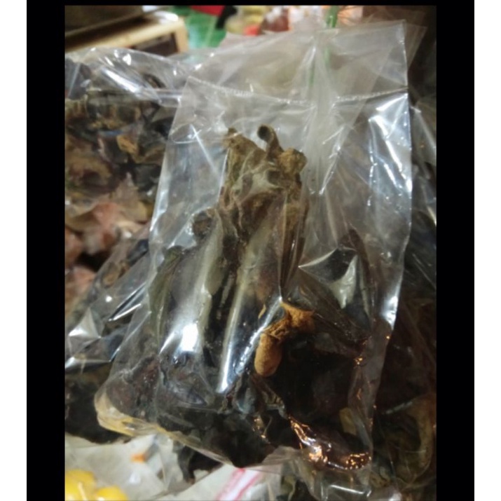 

Jamur kuping | Sedap Malam