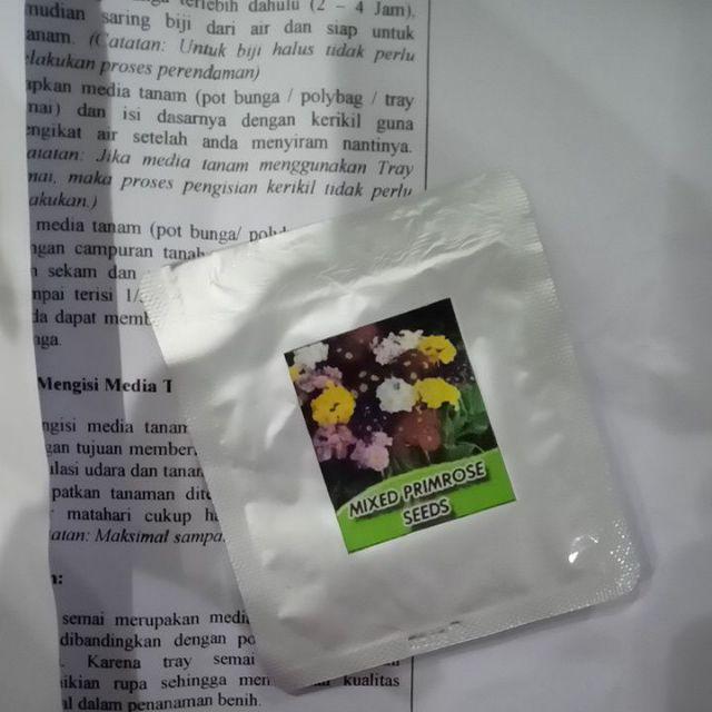 Biji Bunga Evening Primrose (primula) Mixedb