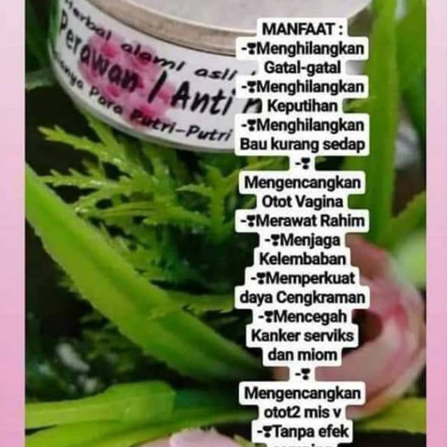 Serbuk perawan anti pelakor