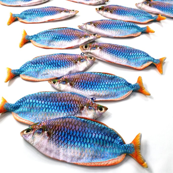 

Tempat Pensil Rainbow Fish favorit penggemar Ikan Hias promo