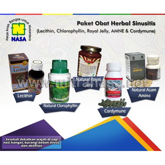 Paket Obat Herbal Sinusitis NASA Manjur