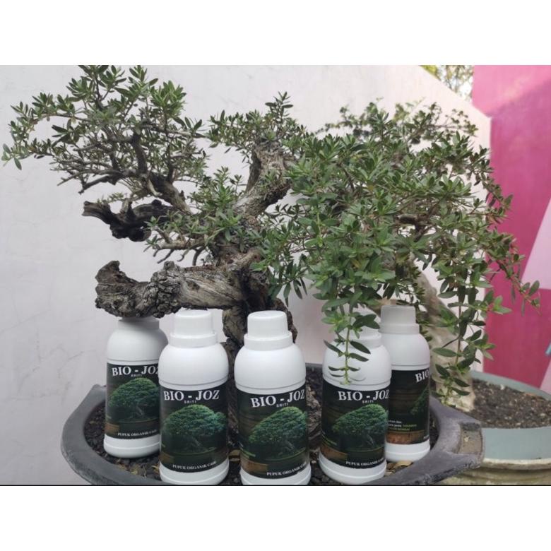 PUPUK ORGANIK CAIR BIO-JOS 250 ML | PUPUK FERMENTASI DARI SERITI | BIO JOS | PUPUK ORGANIK CAIR UNTU