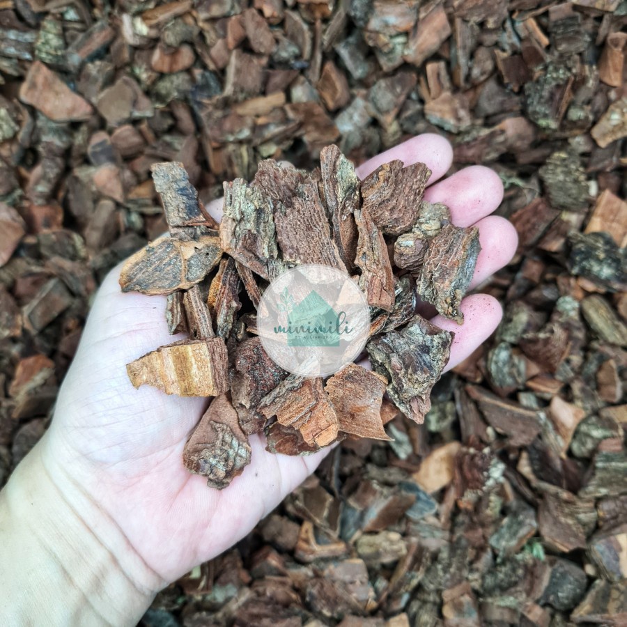 Pine Bark | Kulit Pinus Cacah | Kering | Pine Bark Fermentasi