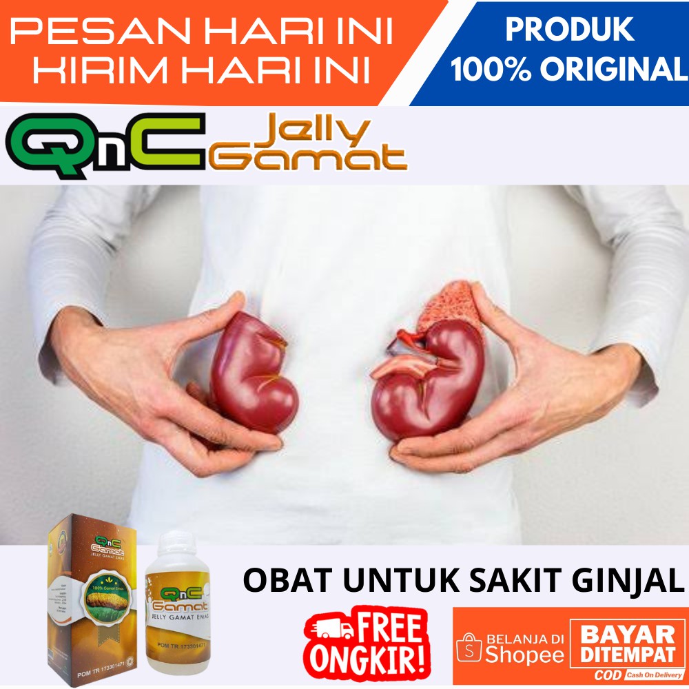 Obat Sakit Ginjal,Bocor Ginjal,Batu Ginjal,Gagal Ginjal,Infeksi Ginjal/Obat Ginjal polikistik