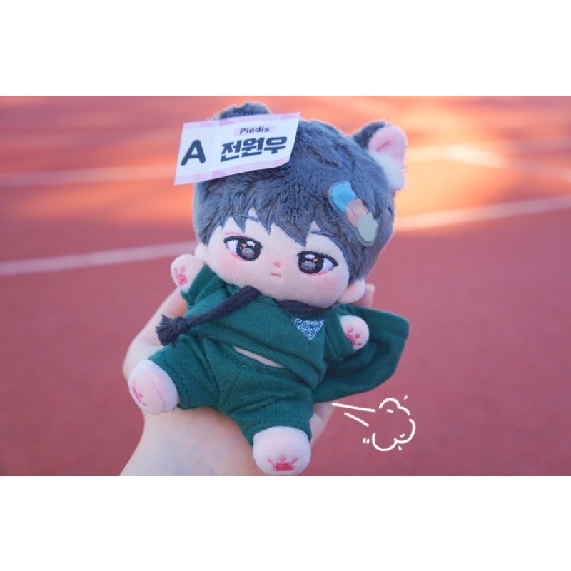 [READY STOCK] Woojjang With Ears Wonwoo Seventeen Doll 15cm BULK