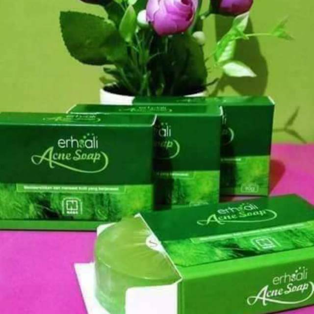 SABUN JERAWAT AMAN BPOM / SABUN ERHSALI ANTI ACNE ORI NASA