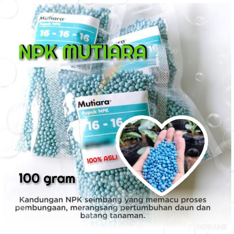 Pupuk Perangsang Buah Cabe Kelengkeng Mangga Jeruk Durian / booster buah / NPK Mutiara 16