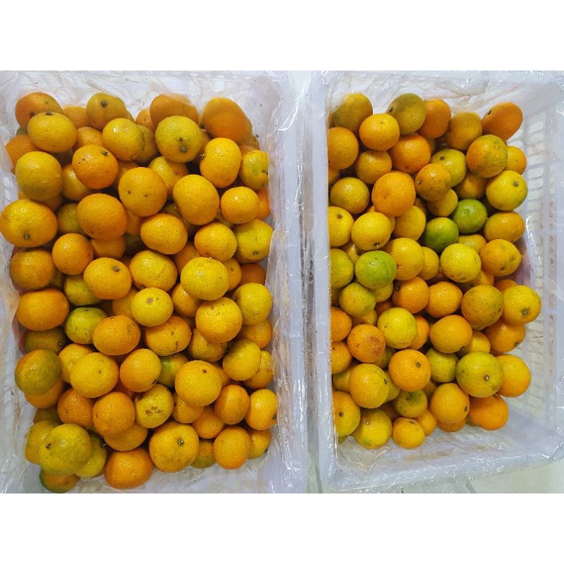 

jeruk shantang madu,jeruk manis,buah palembang,purr manis,no asem2