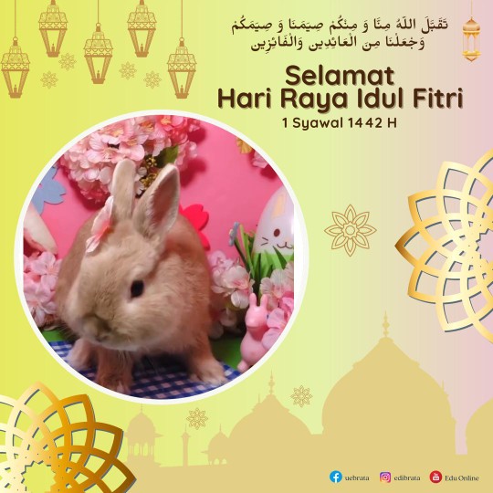 Batik Selendra Lapis Furing Size S-xxl Dasar Navy Katun Halus Sragenan High Quality