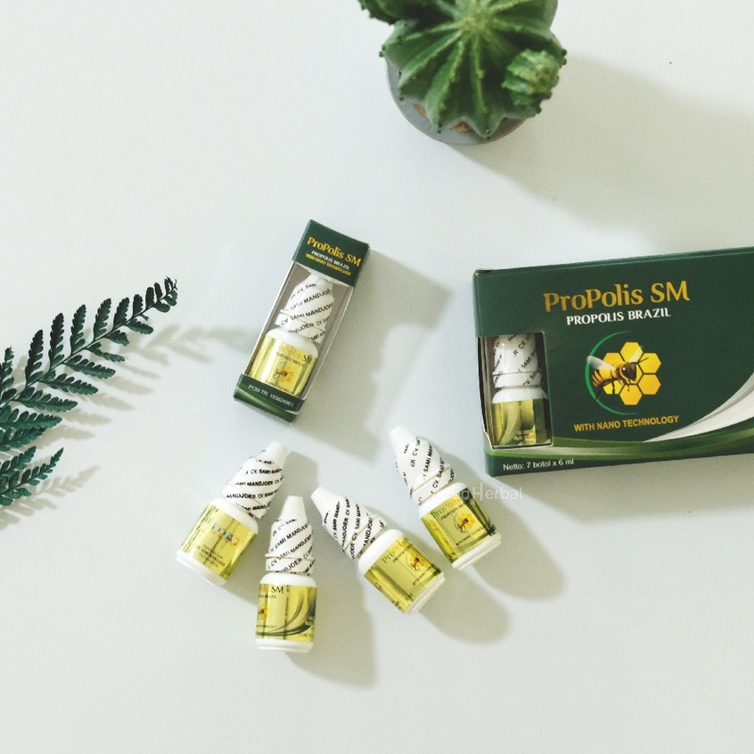 Obat Gatal Alergi Gatel Berair Menahun Pada Kulit Alergi Minum Dan Oles Anak dan Dewasa Propolis SM Herbal BPOM Original