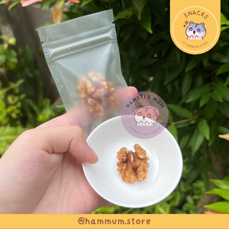 Premium Kacang Walnut 5g Hamster | Snack Hamster
