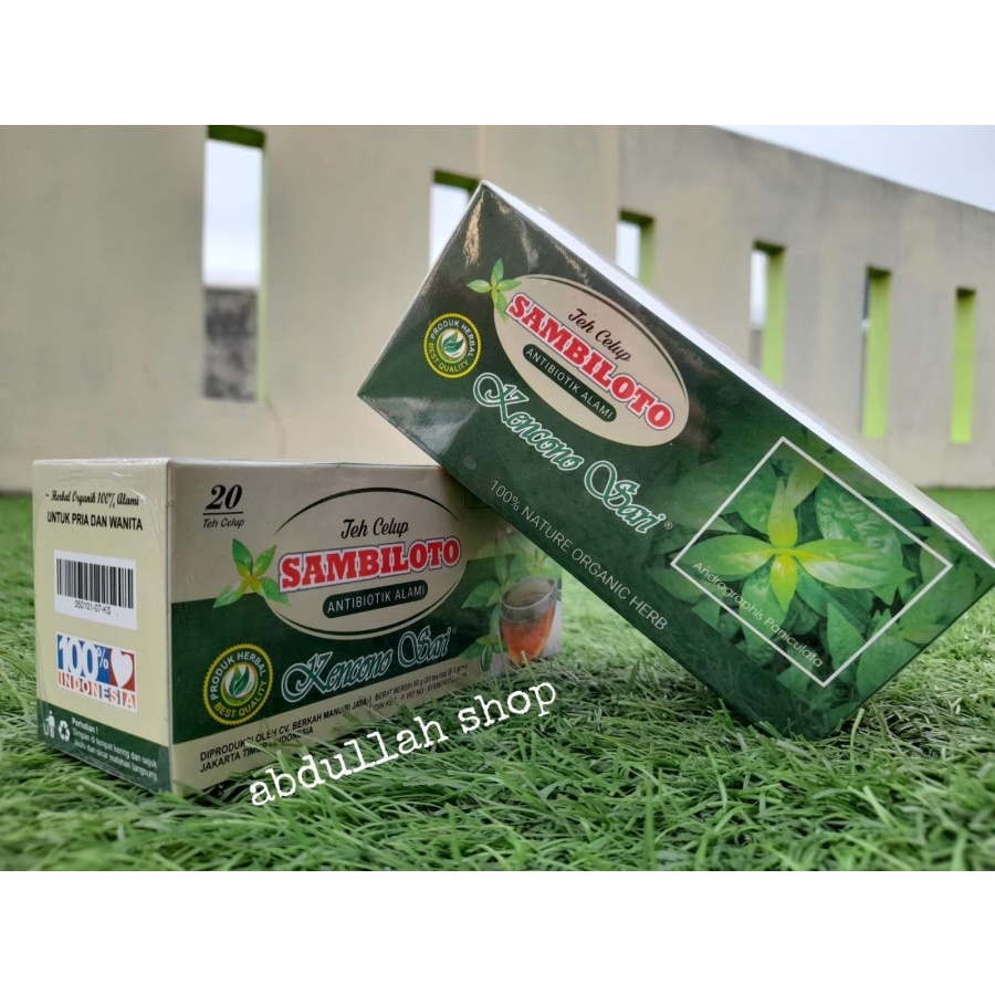 

Obat Herbal Diabetes Kencing Manis Teh Celup Sambiloto