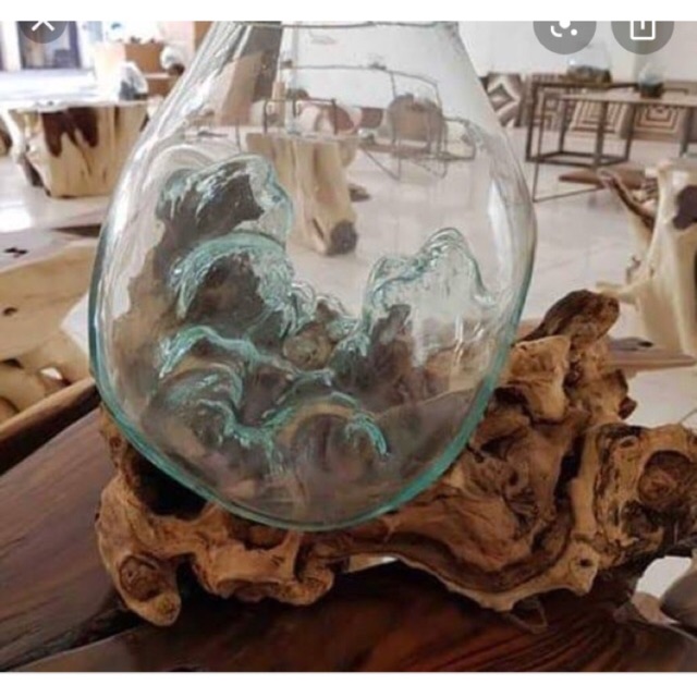 AQUARIUM IKAN CUPANG - / AQUARIUM AKAR KAYU / GLASS ON WOOD