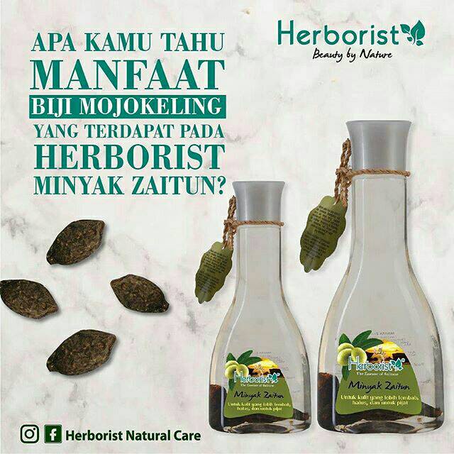 Herborist Minyak Zaitun 75ml-150ml Herboris (VH)