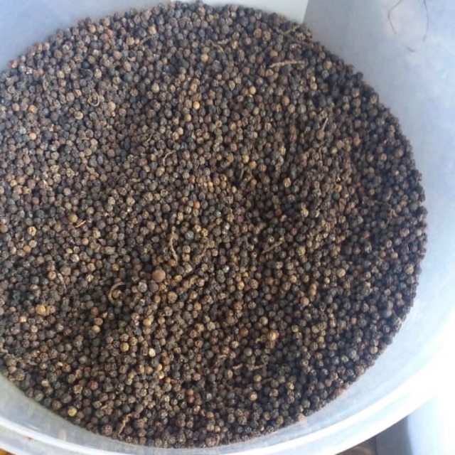 Lada Hitam Asli 100gr