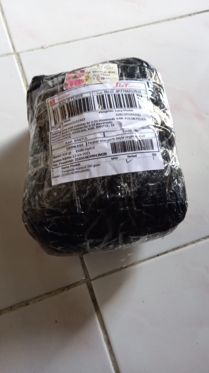 Fungisida Antracol 250 Gram