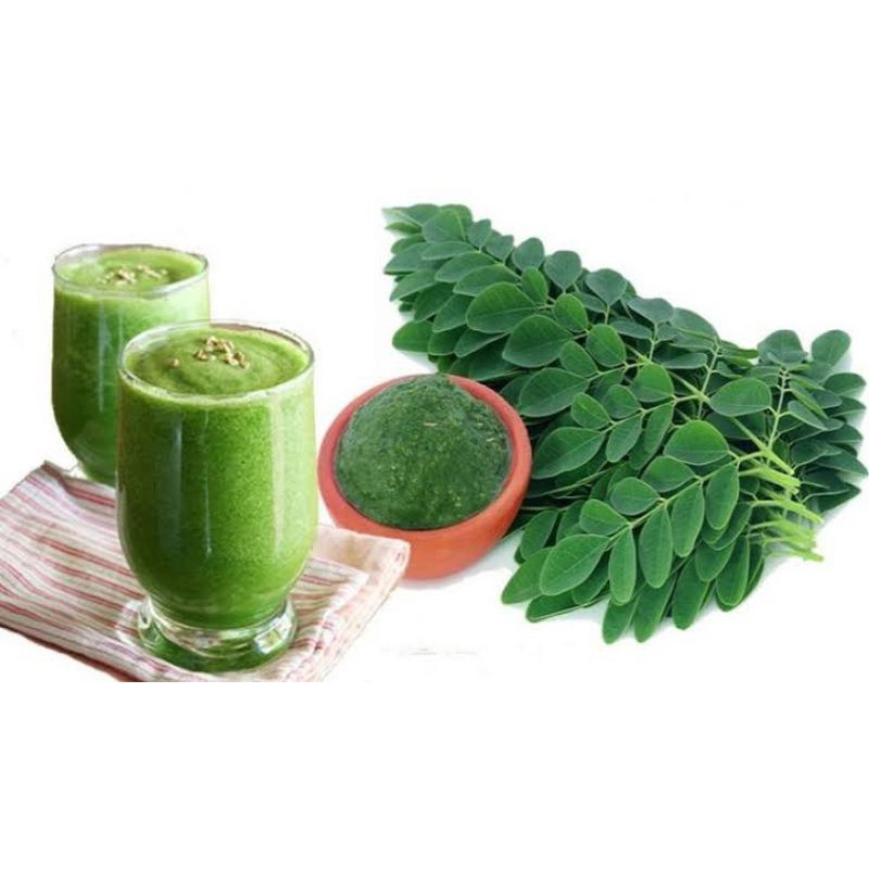 

Daun Kelor Segar 80gram / Fresh Moringa leaf 80gram