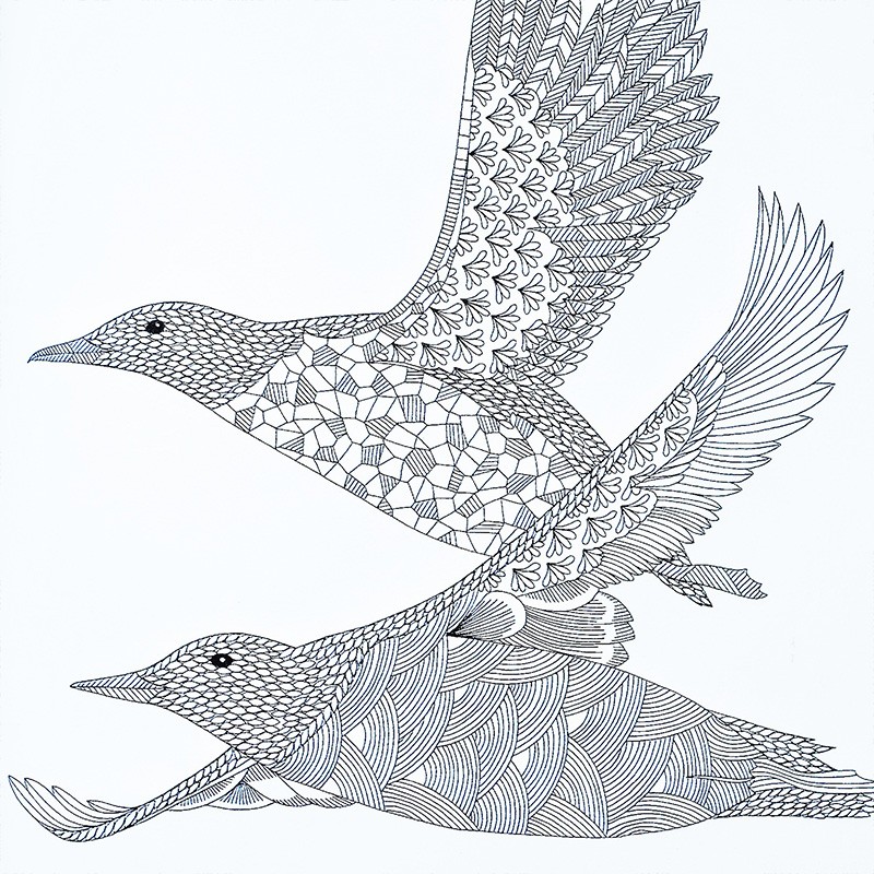 Download Animal Kingdom Coloring Book Shopee Indonesia