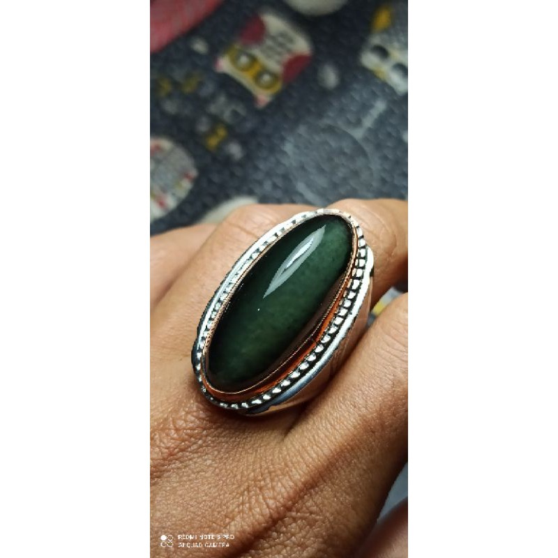 PANDAN IJO LUMUT