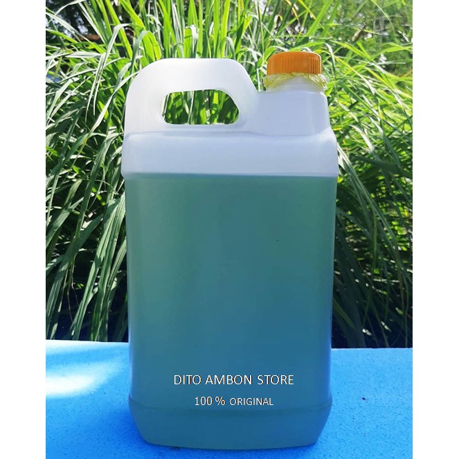 Minyak kayu putih asli pulau buru