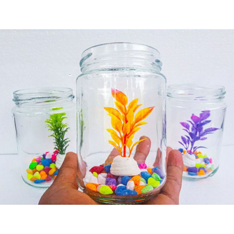 Toples selai tempat ikan cupang / akuarium mini / jar kaca / toples cupang / toples kaca ikan hias