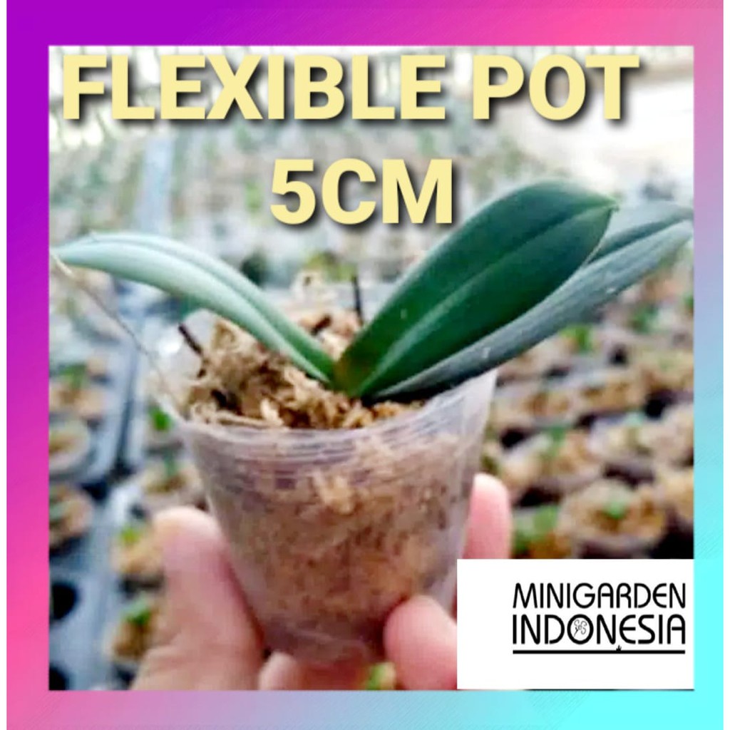 SOFTPOT FLEXIBLE POT 5CM seedling pot Media Tanam Bunga Anggrek Kaktus orchid fleksibel pot 1,5 inch