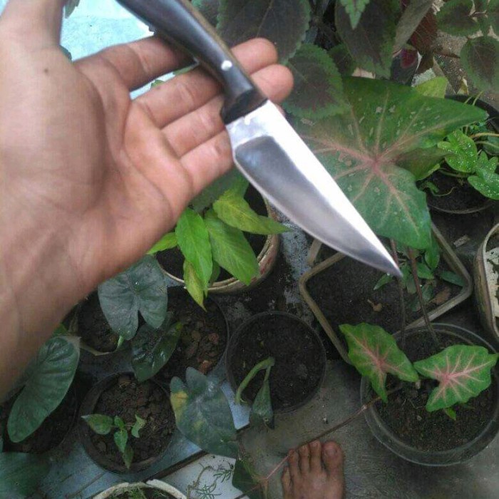 Pisau Seset Kulit - Pisau Seset Seset Super Tajam Tajam - Vivistecolection