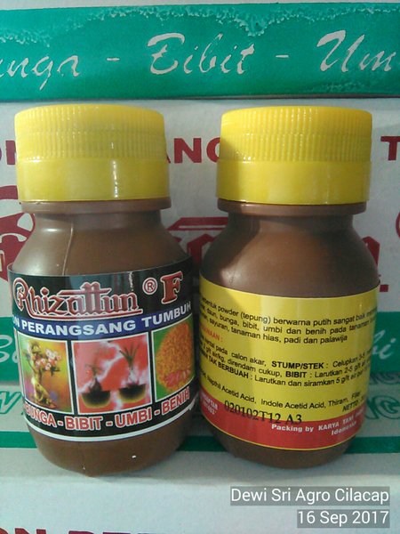 Rhizattun F Perangsang Akar untuk Stek dan Cangkok