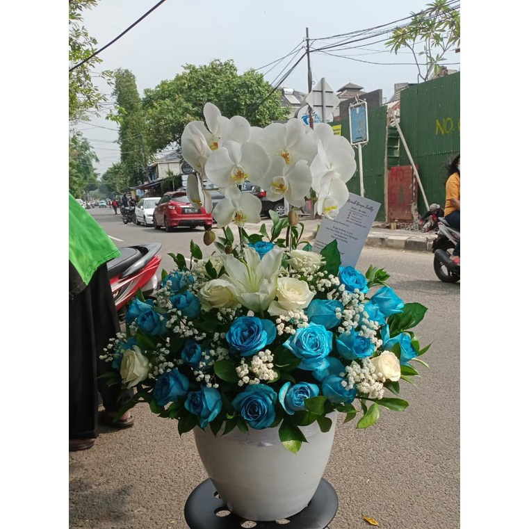 RANGKAIAN ANGGREK BULAN - RANGKAIAN MAWAR BIRU - MAWAR BIRU & ANGGREK